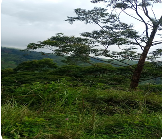 2.-CHANGEMENT-CLIMATIQUE-ET-BIODIVERSITE